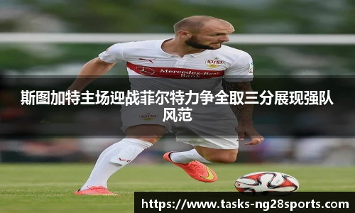 ng南宫体育