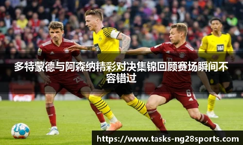 ng南宫体育