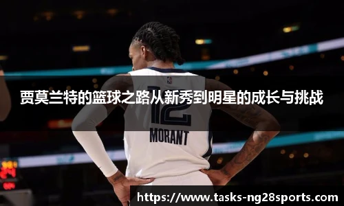 ng体育官网