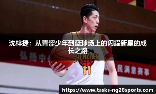 ng体育官网