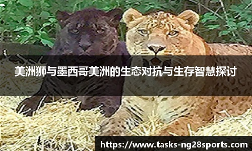 ng体育官网